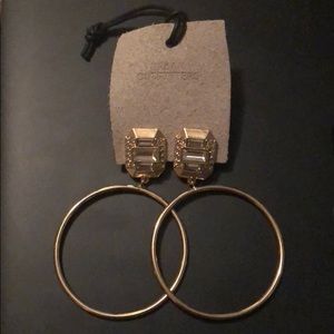 Earrings (Hoops)